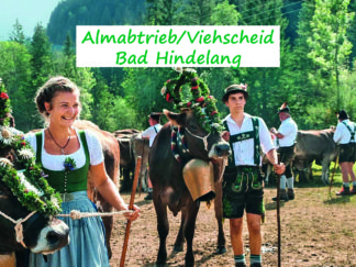 Almabtrieb-Viehscheid-Bad-Hindelang-Teinachtal-Reisen