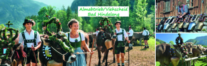 Almabtrieb-Viehscheid-Bad-Hindelang-Teinachtal-Reisen