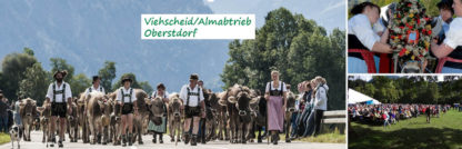 Viehscheid-Almabtrieb-Oberstdorf-Teinachtal-Reisen