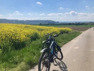 MTR Sommer